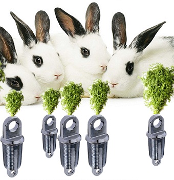 Carrots