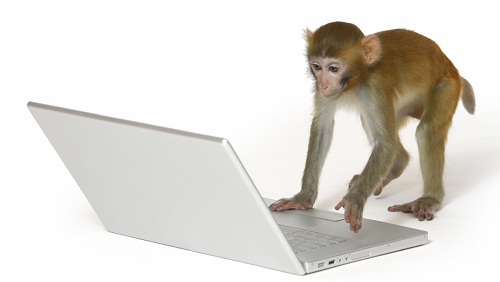 monkey_typing