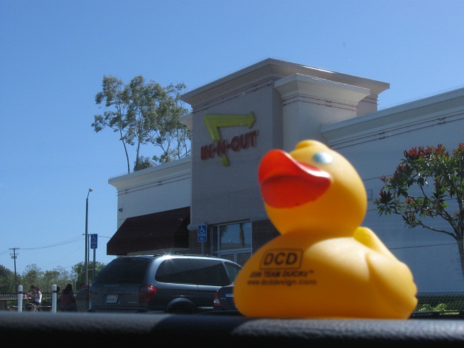 In-N-Out (small) Lunch Time for Duckt