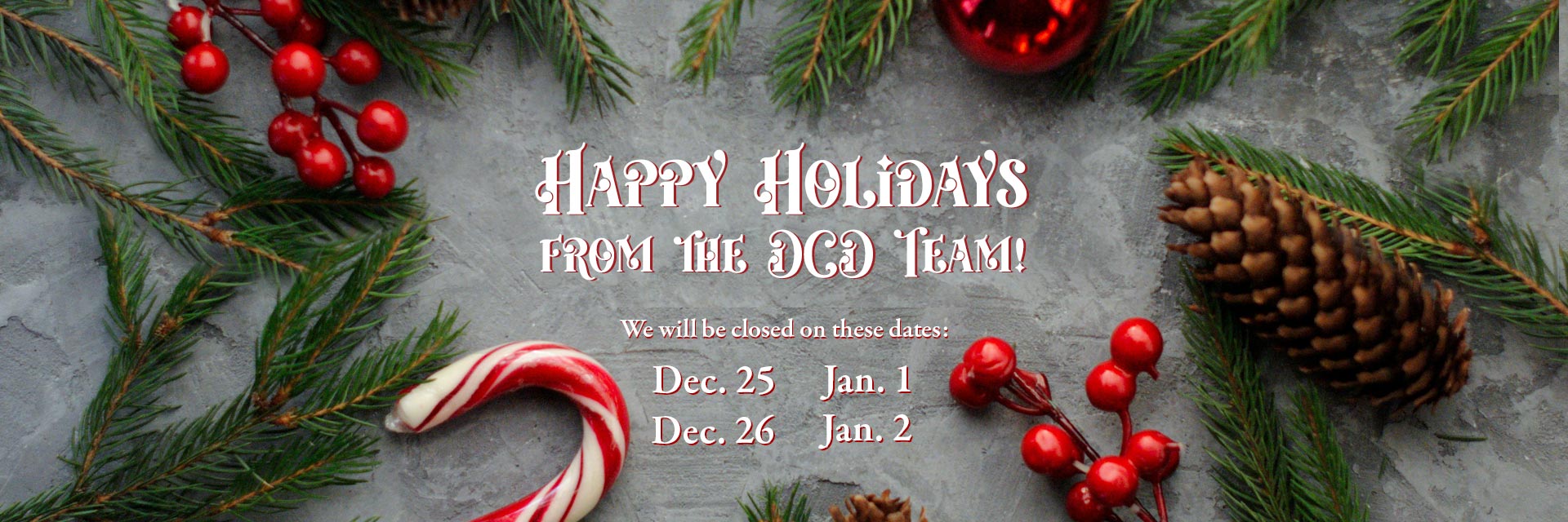 Happy Holidays 2025 banner